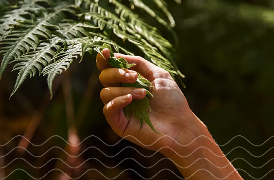 Bread Financial Image