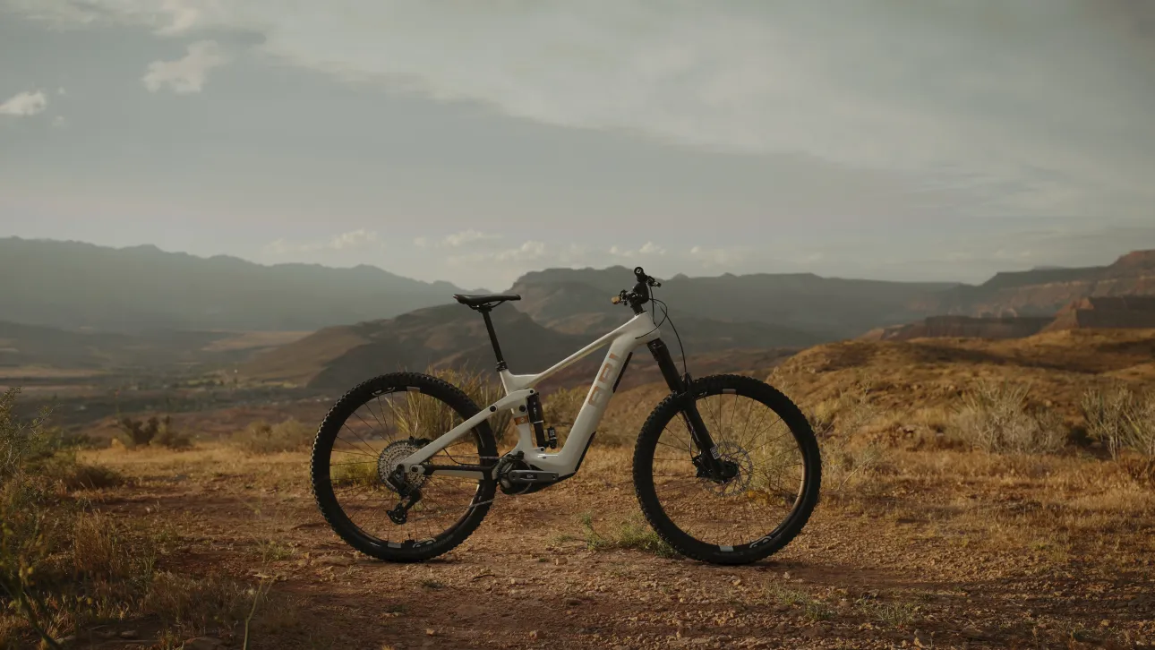 Ari Bikes